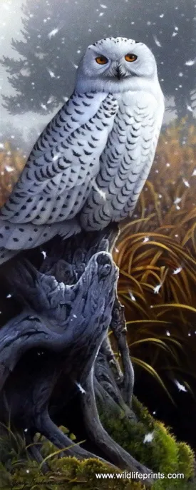 Jerry Gadamus Snowy Raptor