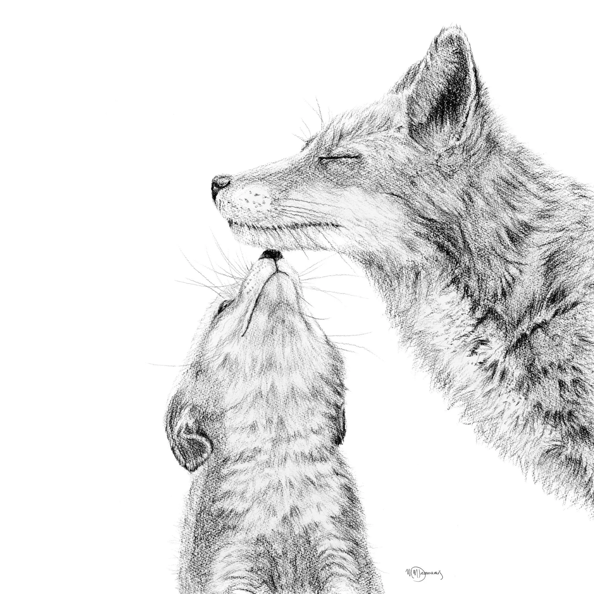 Mama fox with cub - kissing - Black and White - greeting card