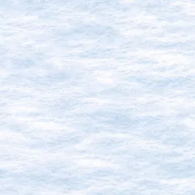 Naturescapes - Winter Gathering Snow White Yardage