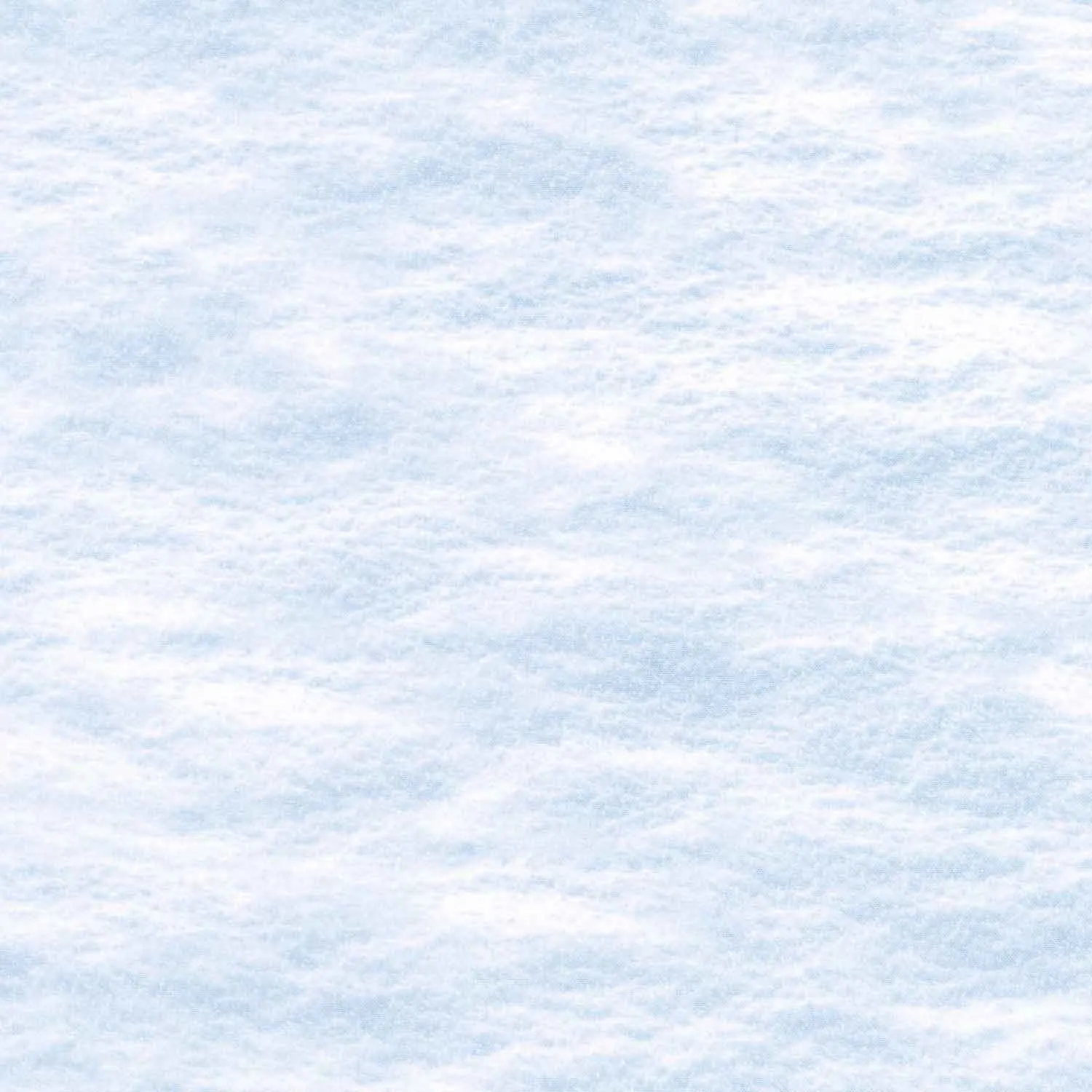 Naturescapes - Winter Gathering Snow White Yardage