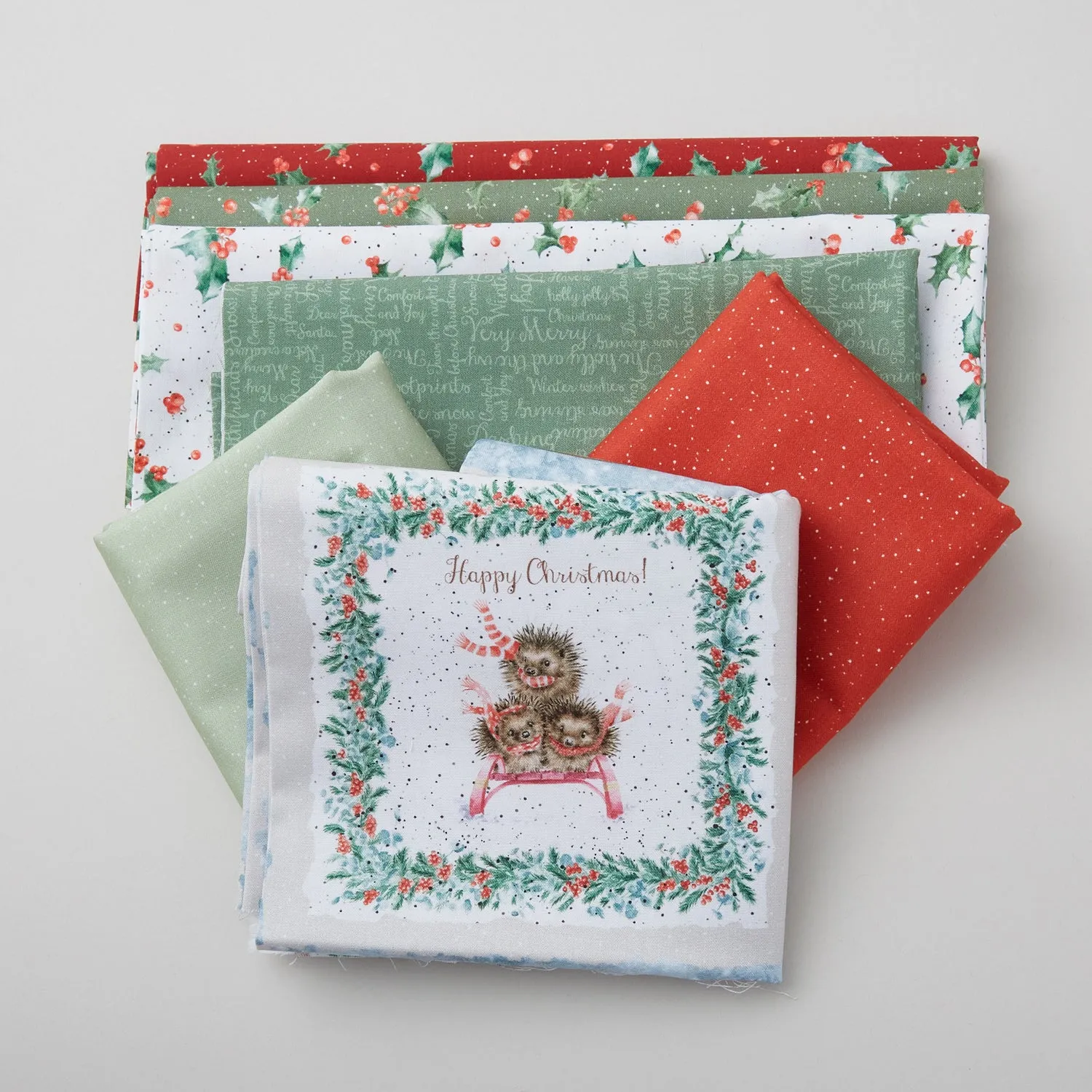 One Snowy Day Quilt Kit