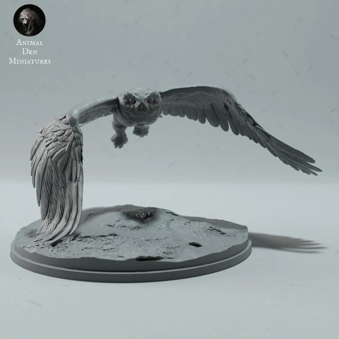 Snowy Owl 1:32