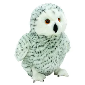Snowy Owl