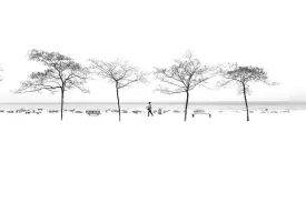 Snowy Walk