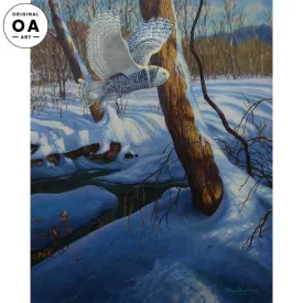 Snowy—Snowy Owl